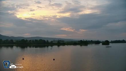 Pennsylvania Snow Geese Live Webcam - Aug 5, 2026, 8:09pm EDT