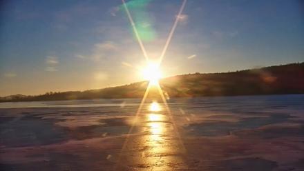 Pennsylvania Snow Geese Live Webcam - Dec 18, 2025, 7:50am EST