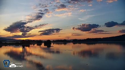 Pennsylvania Snow Geese Live Webcam - Aug 19, 2026, 6:34am EDT