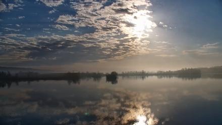 Pennsylvania Snow Geese Live Webcam - Apr 4, 2026, 7:58am EDT