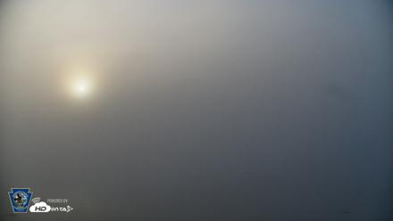 Pennsylvania Snow Geese Live Webcam - Apr 27, 2026, 6:51am EDT