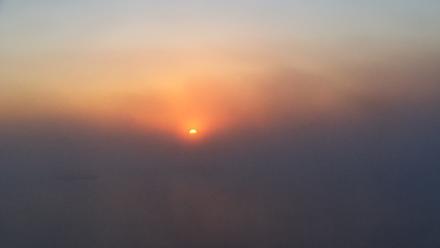 Pennsylvania Snow Geese Live Webcam - Oct 4, 2025, 7:11am EDT