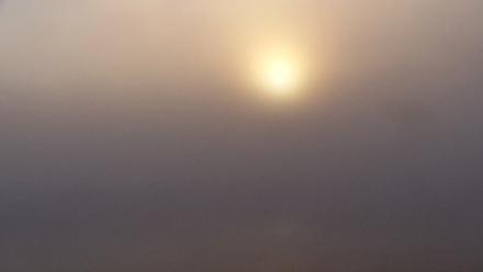 Pennsylvania Snow Geese Live Webcam - Oct 6, 2025, 7:37am EDT