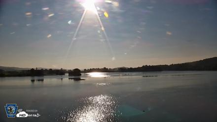 Pennsylvania Snow Geese Live Webcam - Aug 21, 2026, 8:09am EDT