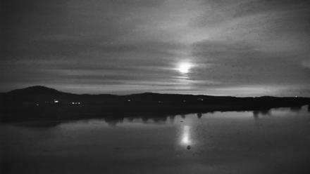 Pennsylvania Snow Geese Live Webcam - Nov 6, 2025, 6:13pm EST