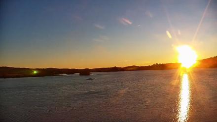 Pennsylvania Snow Geese Live Webcam - Nov 6, 2025, 6:54am EST