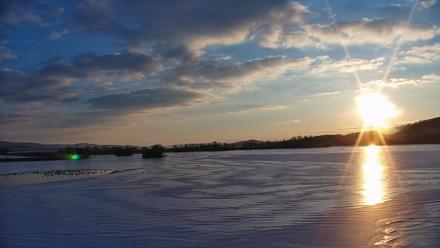 Pennsylvania Snow Geese Live Webcam - Feb 4, 2026, 7:37am EST
