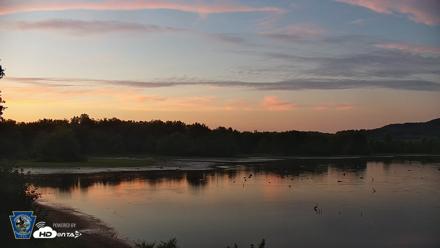 Pennsylvania Snow Geese Live Webcam - Aug 4, 2026, 8:28pm EDT