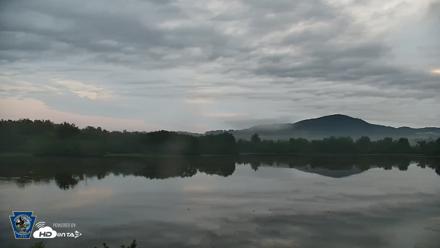 Pennsylvania Snow Geese Live Webcam - Aug 28, 2026, 6:30am EDT