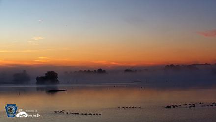 Pennsylvania Snow Geese Live Webcam - Aug 26, 2026, 6:18am EDT