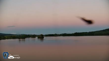 Pennsylvania Snow Geese Live Webcam - Sep 6, 2026, 7:38pm EDT