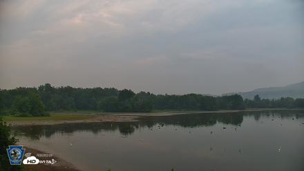 Pennsylvania Snow Geese Live Webcam - Jul 28, 2026, 6:27am EDT