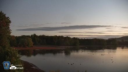 Pennsylvania Snow Geese Live Webcam - Sep 29, 2026, 6:33am EDT