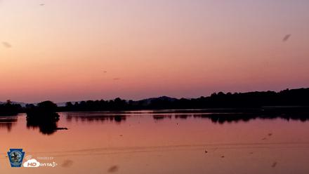 Pennsylvania Snow Geese Live Webcam - Jul 14, 2026, 5:36am EDT