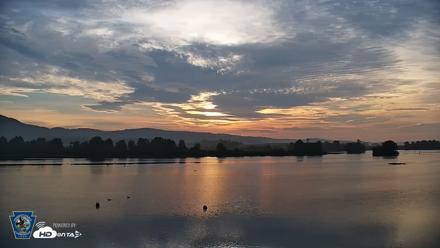 Pennsylvania Snow Geese Live Webcam - Jul 11, 2026, 6:21am EDT