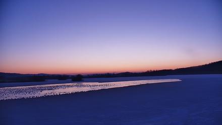 Pennsylvania Snow Geese Live Webcam - Feb 27, 2026, 6:25am EST