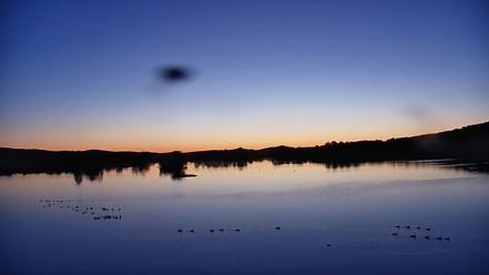 Pennsylvania Snow Geese Live Webcam - Oct 17, 2025, 7:02am EDT