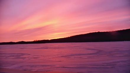 Pennsylvania Snow Geese Live Webcam - Jan 24, 2026, 7:17am EST