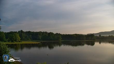 Pennsylvania Snow Geese Live Webcam - Aug 1, 2026, 6:53am EDT