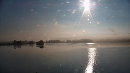 Pennsylvania Snow Geese Live Webcam - Sep 28, 2025, 8:29am EDT