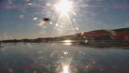 Pennsylvania Snow Geese Live Webcam - Oct 17, 2025, 8:45am EDT