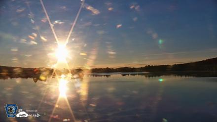 Pennsylvania Snow Geese Live Webcam - Aug 29, 2026, 7:00am EDT