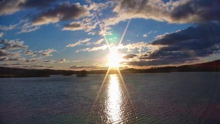 Pennsylvania Snow Geese Live Webcam - Mar 17, 2026, 7:35am EDT