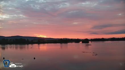 Pennsylvania Snow Geese Live Webcam - Aug 5, 2026, 6:08am EDT