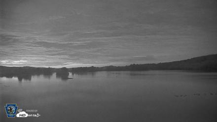 Pennsylvania Snow Geese Live Webcam - Aug 5, 2026, 5:05am EDT