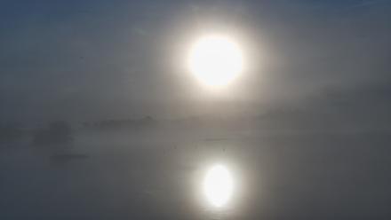 Pennsylvania Snow Geese Live Webcam - Oct 3, 2025, 7:37am EDT