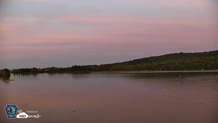 Pennsylvania Snow Geese Live Webcam - Aug 4, 2026, 8:22pm EDT