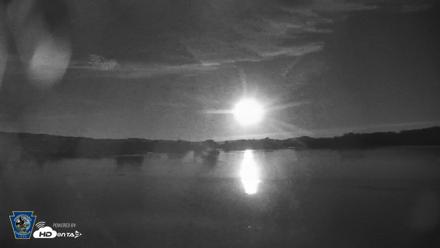 Pennsylvania Snow Geese Live Webcam - Aug 29, 2026, 8:44pm EDT