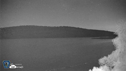 Pennsylvania Snow Geese Live Webcam - Jun 8, 2026, 1:11am EDT