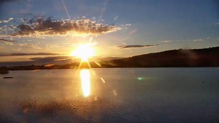 Pennsylvania Snow Geese Live Webcam - Oct 23, 2025, 7:46am EDT