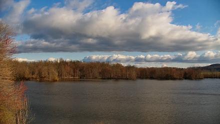 Pennsylvania Snow Geese Live Webcam - Apr 7, 2026, 8:20am EDT