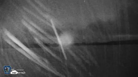 Pennsylvania Snow Geese Live Webcam - Sep 3, 2026, 5:54am EDT
