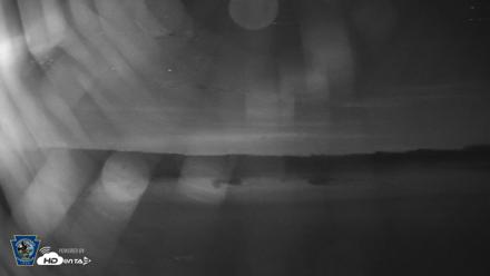 Pennsylvania Snow Geese Live Webcam - Sep 12, 2026, 2:50am EDT
