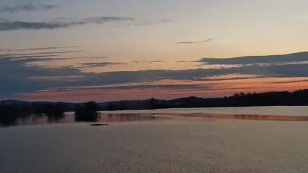 Pennsylvania Snow Geese Live Webcam - Nov 23, 2025, 6:50am EST