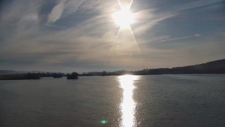 Pennsylvania Snow Geese Live Webcam - Mar 25, 2026, 8:21am EDT