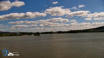 Pennsylvania Snow Geese Live Webcam - Sep 14, 2026, 11:55am EDT