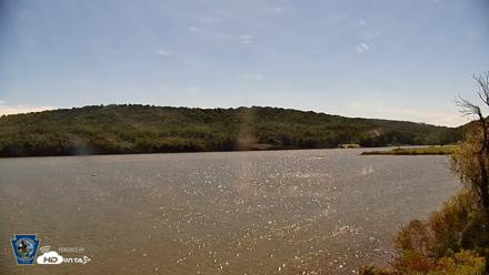 Pennsylvania Snow Geese Live Webcam - Sep 24, 2026, 12:35pm EDT