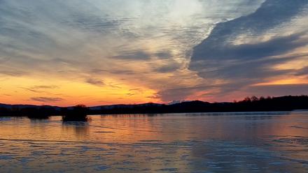 Pennsylvania Snow Geese Live Webcam - Jan 3, 2026, 7:26am EST
