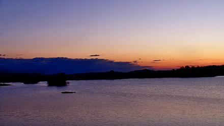 Pennsylvania Snow Geese Live Webcam - Nov 13, 2025, 6:37am EST