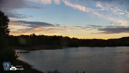 Pennsylvania Snow Geese Live Webcam - Sep 23, 2026, 7:23am EDT