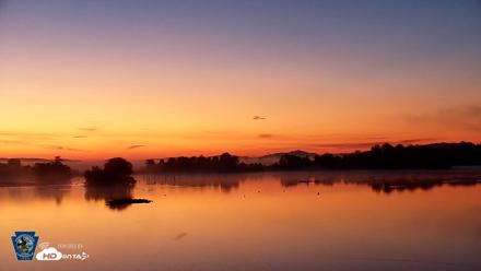 Pennsylvania Snow Geese Live Webcam - Aug 26, 2026, 5:58am EDT
