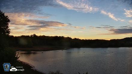 Pennsylvania Snow Geese Live Webcam - Sep 23, 2026, 7:30am EDT