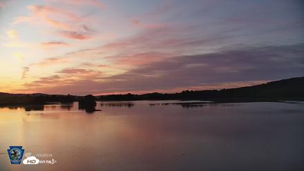 Pennsylvania Snow Geese Live Webcam - Aug 4, 2026, 5:56am EDT