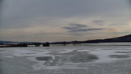 Pennsylvania Snow Geese Live Webcam - Dec 17, 2025, 11:34am EST