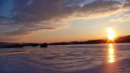 Pennsylvania Snow Geese Live Webcam - Feb 4, 2026, 7:28am EST