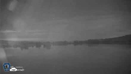 Pennsylvania Snow Geese Live Webcam - Sep 2, 2026, 2:45am EDT
